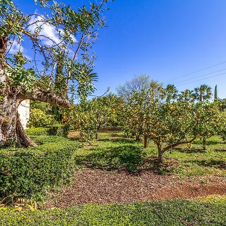 Villa Bennassar Pollensa Mallorca *